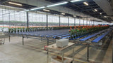 Conveyor belt system for sorting, buffering, and delivering