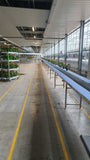 Conveyor belt system for sorting, buffering, and delivering