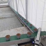Gable belt conveyor for potted plant production