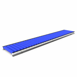 Roller conveyor with plastic rollers - Roll width 300mm - Roll diameter 50mm - Length 2 meters - C/C distance 60mm